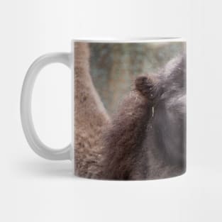 Close up of a camel's head Mug